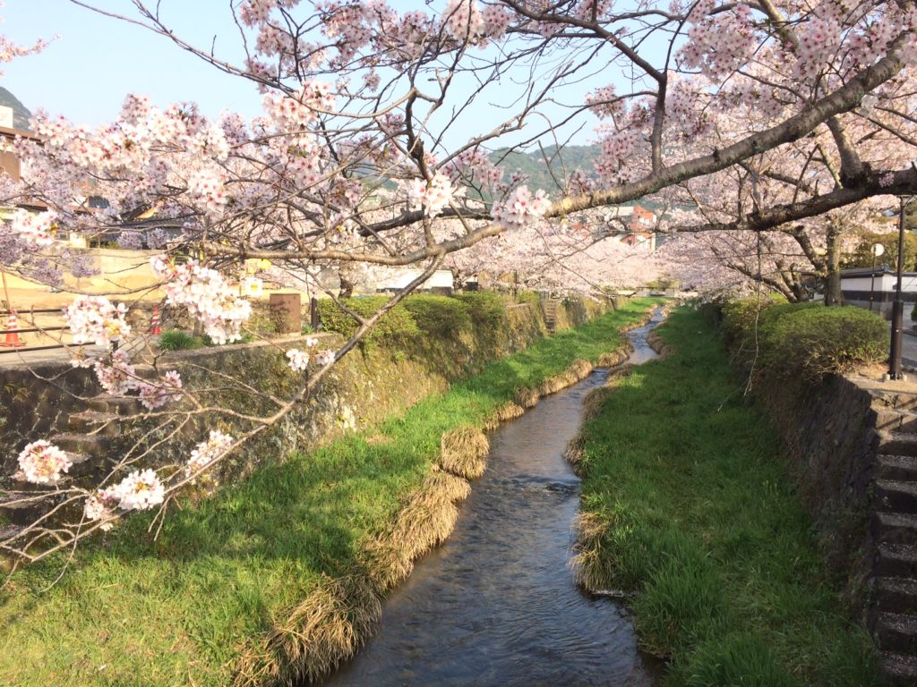 年2月 鳳陽会東京支部